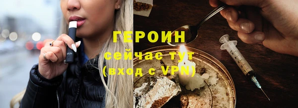 индика Гусев