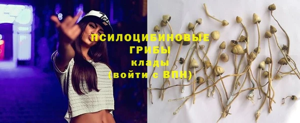 мдпв Горнозаводск