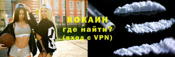 мдпв Горнозаводск