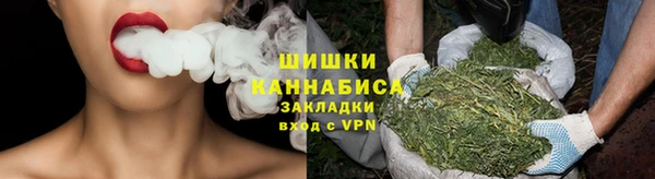 индика Гусев