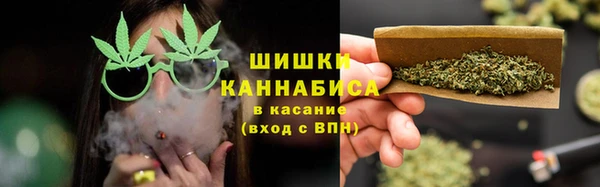 молекула духа Горно-Алтайск