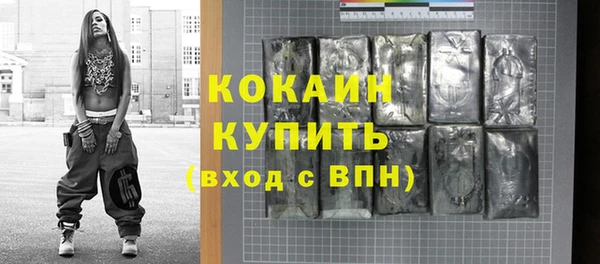 мдпв Горнозаводск